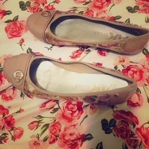 They are brand new shoes